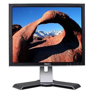 buy Monitors DELL 17in Dell 1704 1707 1708 VGA DVI LCD Monitor wUSB - click for details